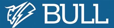 Bull