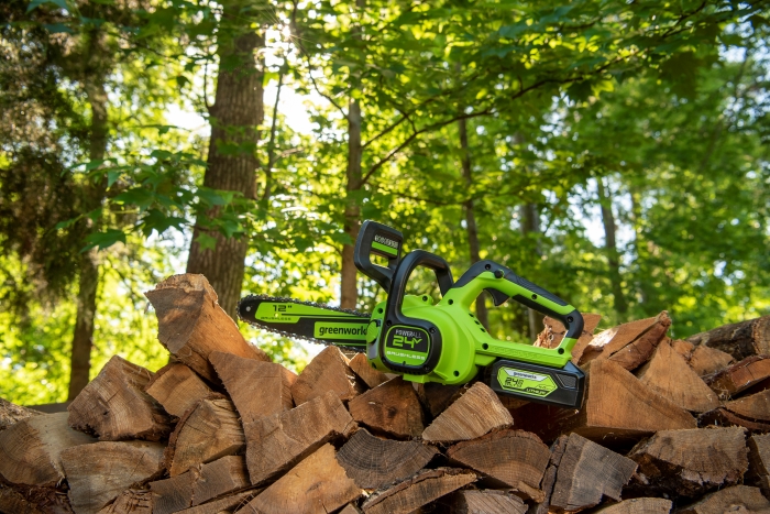 Цепная пила аккумуляторная Greenworks 24V GD24CS30 (1xАКБ 2Ач и ЗУ) 30см
