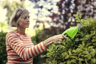 Ножницы аккумуляторные Greenworks 3.6V G3.6HS 2Ач