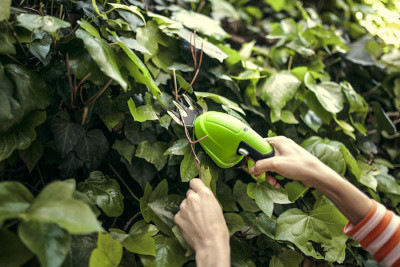 Ножницы аккумуляторные Greenworks 3.6V G3.6HS 2Ач