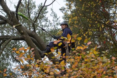 Высоторез-Сучкорез аккумуляторный Greenworks 40V G40PSF (без АКБ и ЗУ) 20см