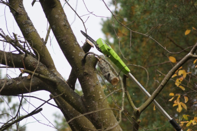 Высоторез-Сучкорез аккумуляторный Greenworks 40V G40PSF (без АКБ и ЗУ) 20см